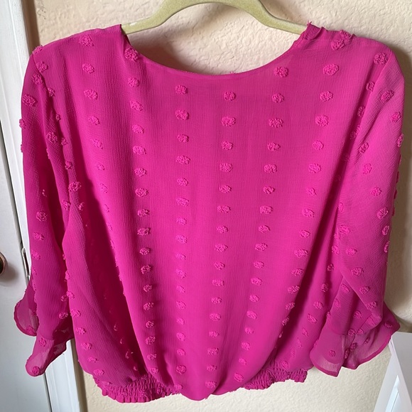 Pink Clipdot Blouse - Picture 5 of 6